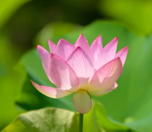 Supervizija s prof. dr. Zoranom Zoričićem